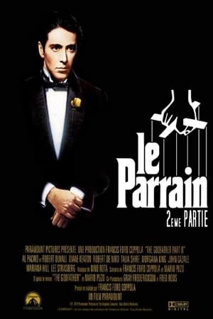 Le Parrain, 2e partie